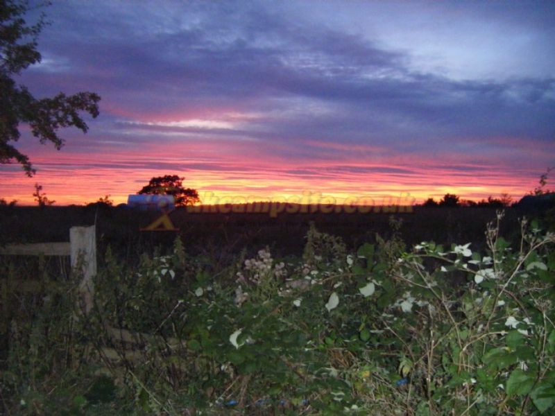 Twiteys Camping And Glamping Meadows