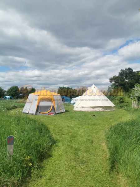 Twiteys Camping And Glamping Meadows