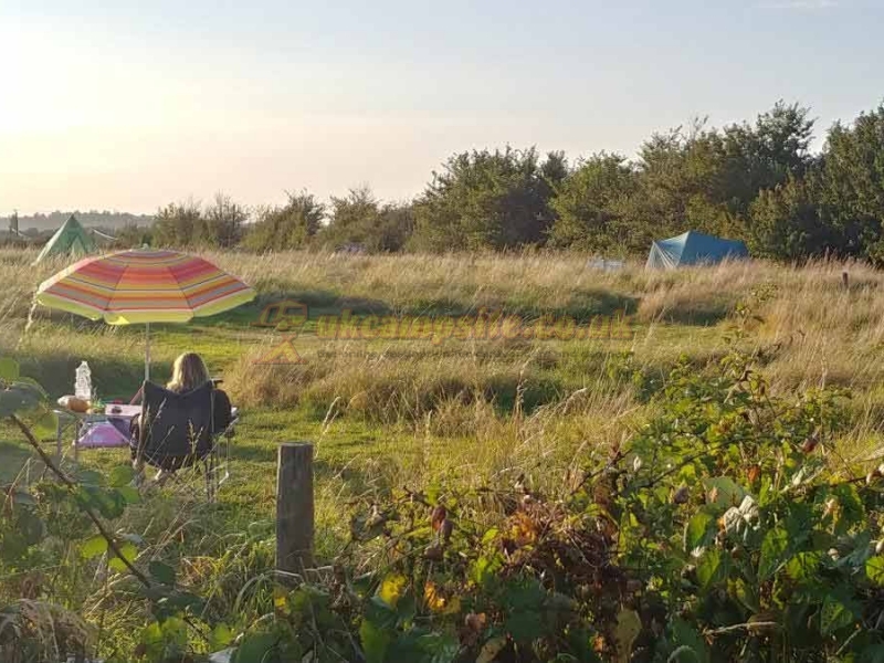 Twiteys Camping And Glamping Meadows