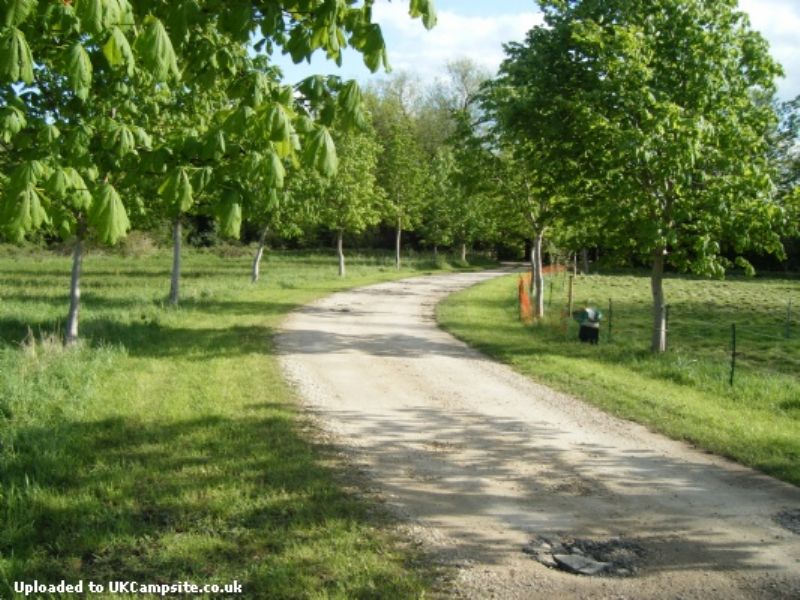 Twiteys Camping And Glamping Meadows
