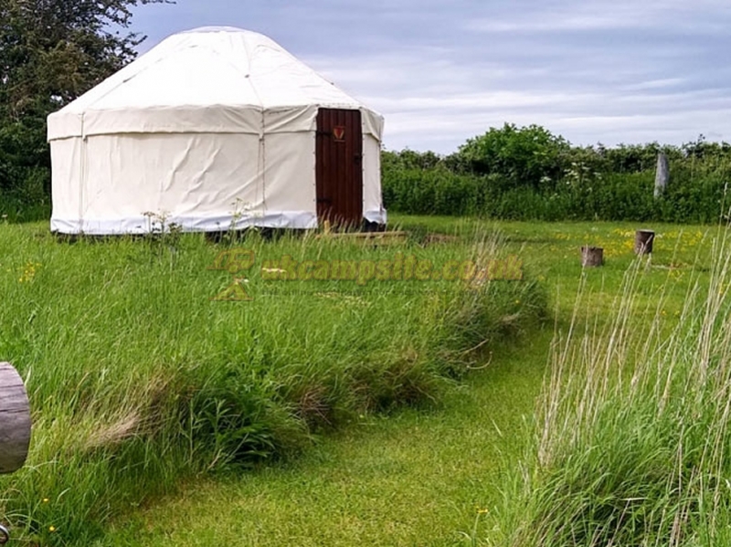 Twiteys Camping And Glamping Meadows