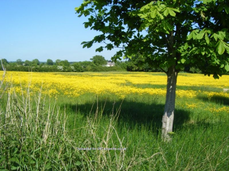 Twiteys Camping And Glamping Meadows