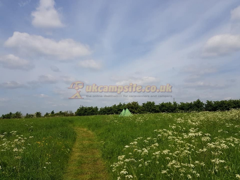 Twiteys Camping And Glamping Meadows