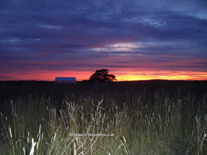 Twiteys Camping And Glamping Meadows