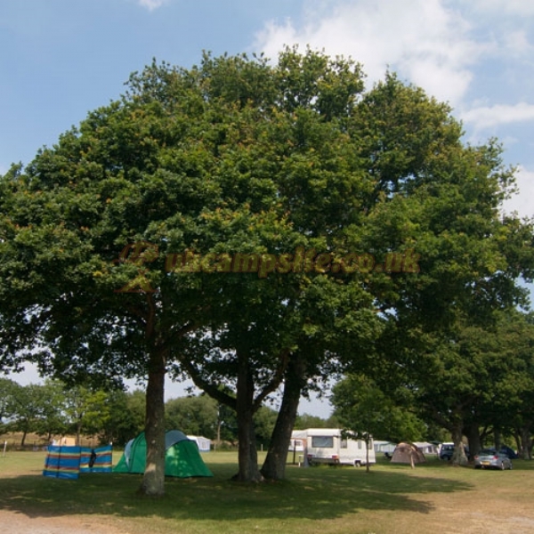 Ridge Farm Camping And Caravan Park