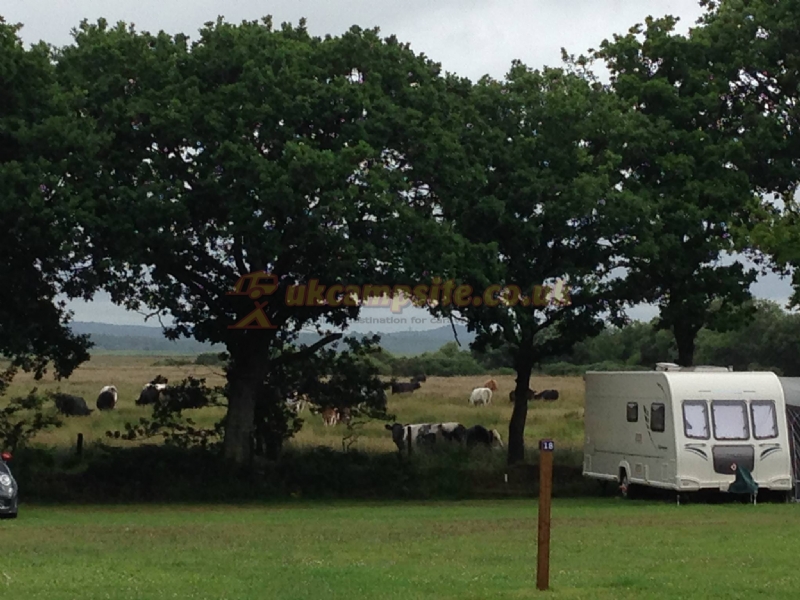 Ridge Farm Camping And Caravan Park