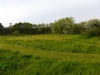 Bakesdown Farm Camping