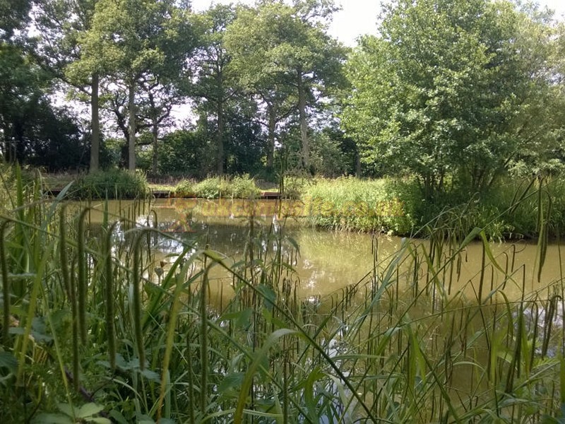 Lower Hill Campsite