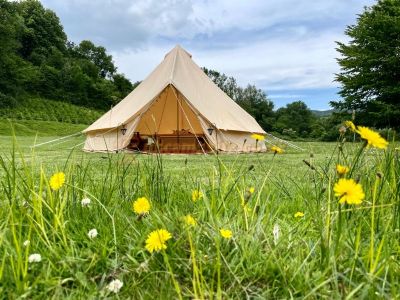 Willow Stream Camping