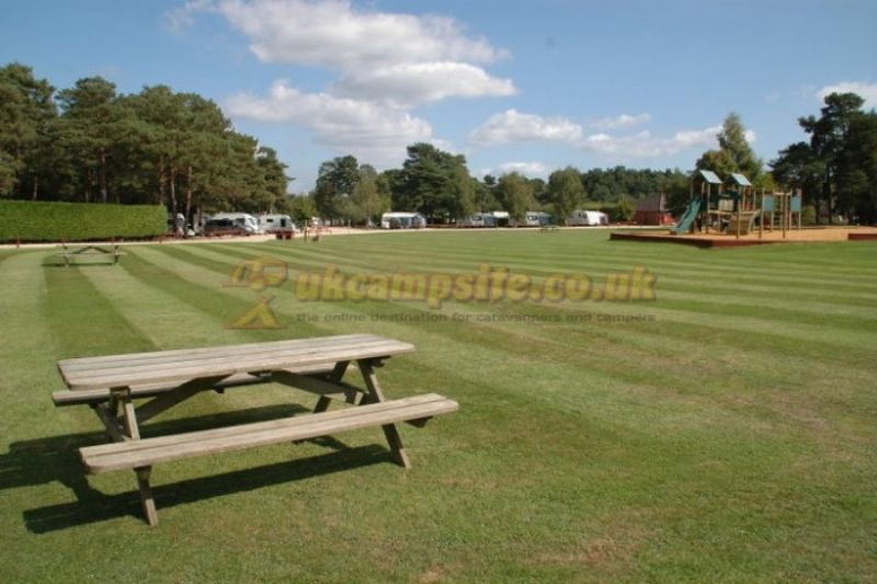 Wareham Forest Tourist Park