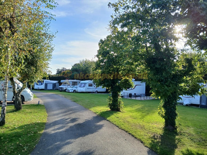 Whitemead Caravan Park