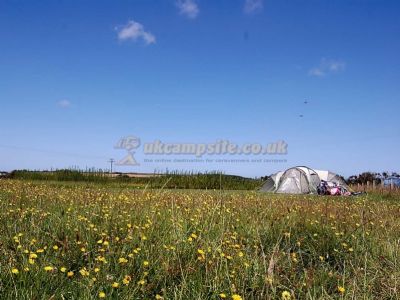Bryn Deri Camping