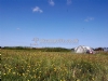 Bryn Deri Camping Bryn Deri Camping