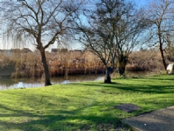 Fourwinds Campsite And B And B