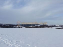 Poplars Farm Site