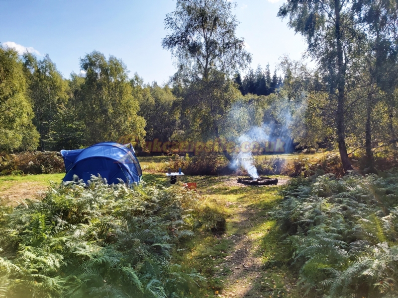 Beech Estate Campsite