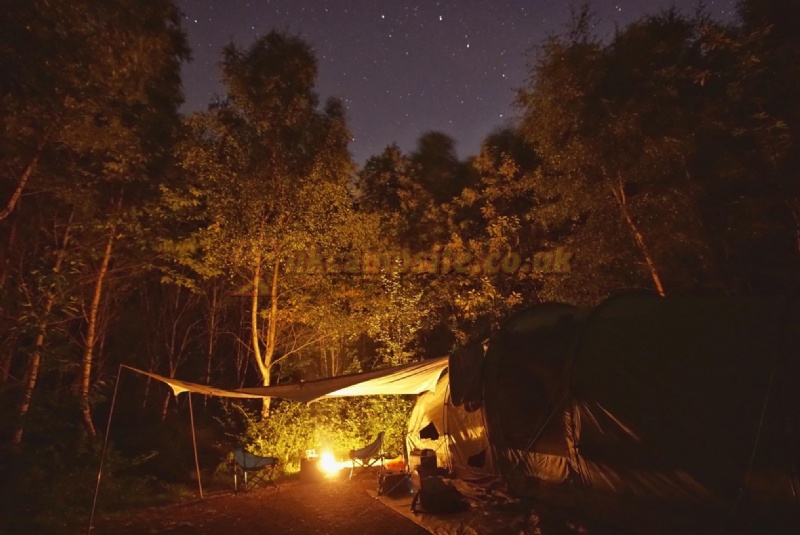 Beech Estate Campsite
