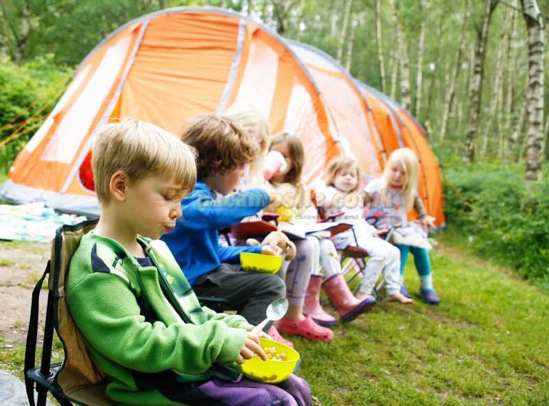 Beech Estate Campsite