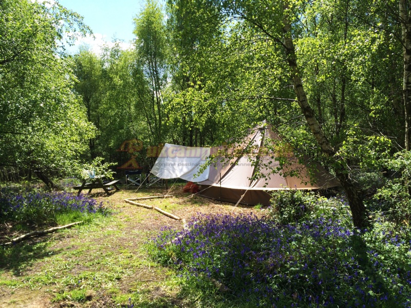 Beech Estate Campsite