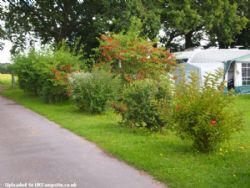 Woolsbridge Manor Farm Caravan Park
