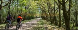 Woolsbridge Manor Farm Caravan Park