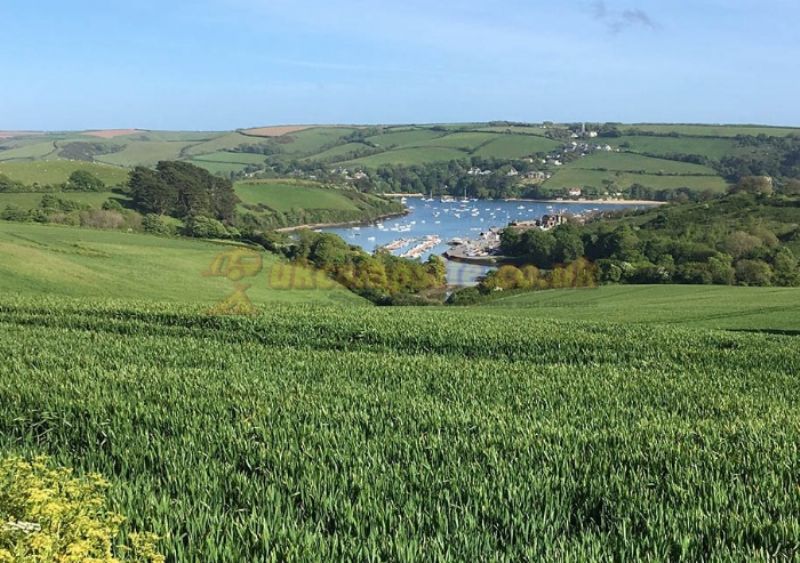 Ilton Farm Campsite