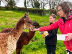 Parkers Farm Holiday Park