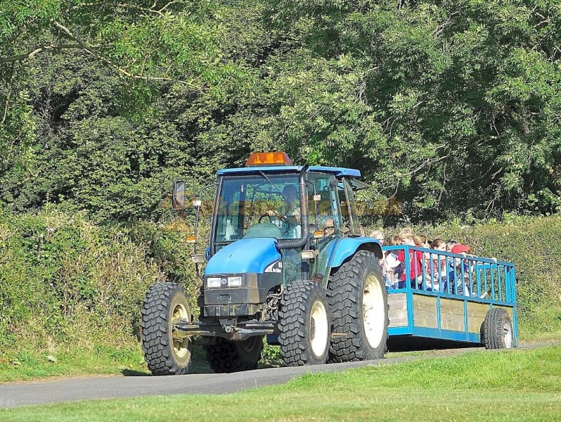 Parkers Farm Holiday Park