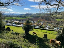 Parkers Farm Holiday Park
