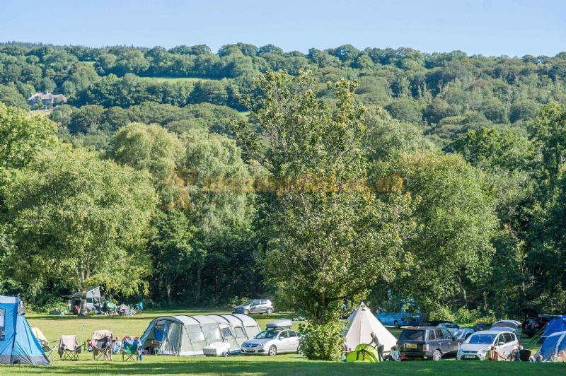 River Dart Country Park