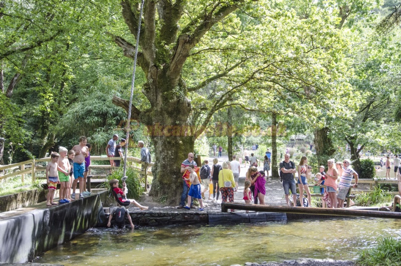 River Dart Country Park