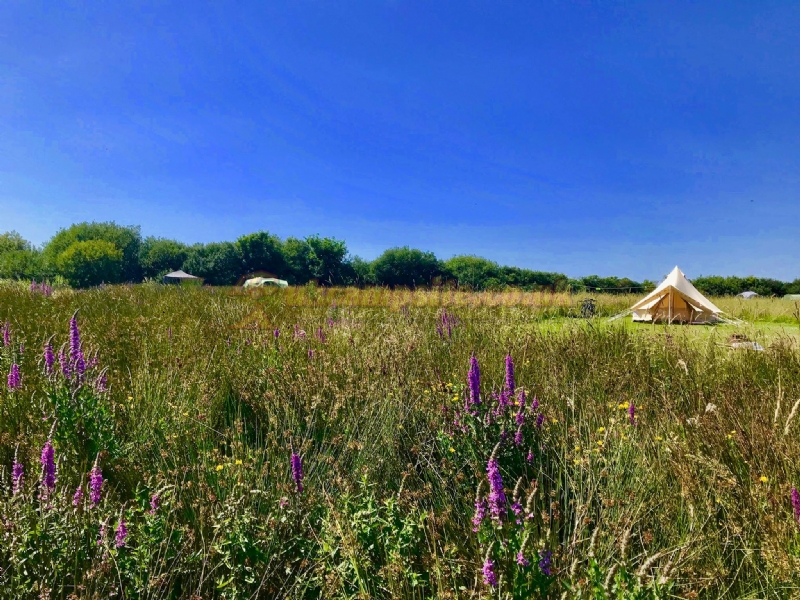 Little Haven Campsite
