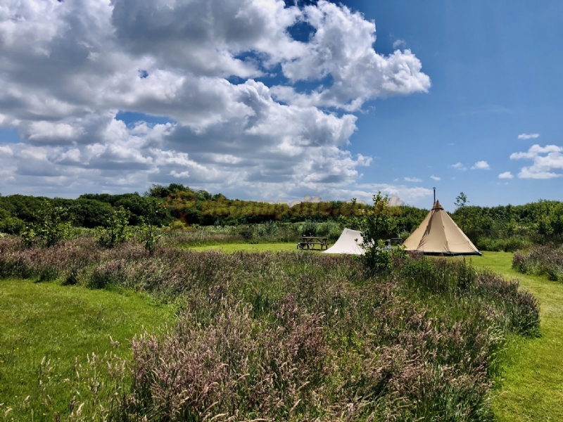 Little Haven Campsite