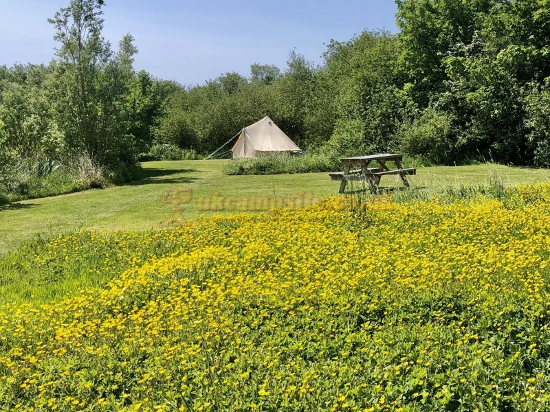 Little Haven Campsite