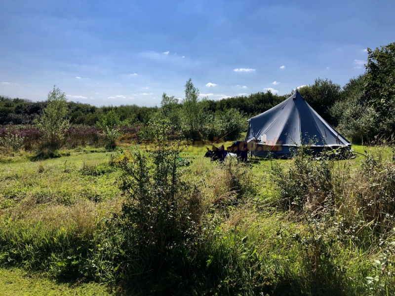 Little Haven Campsite
