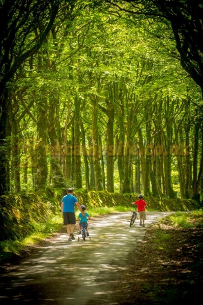 Woodview Campsite
