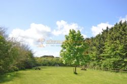 Tarka Holiday Park (PHolsUK)