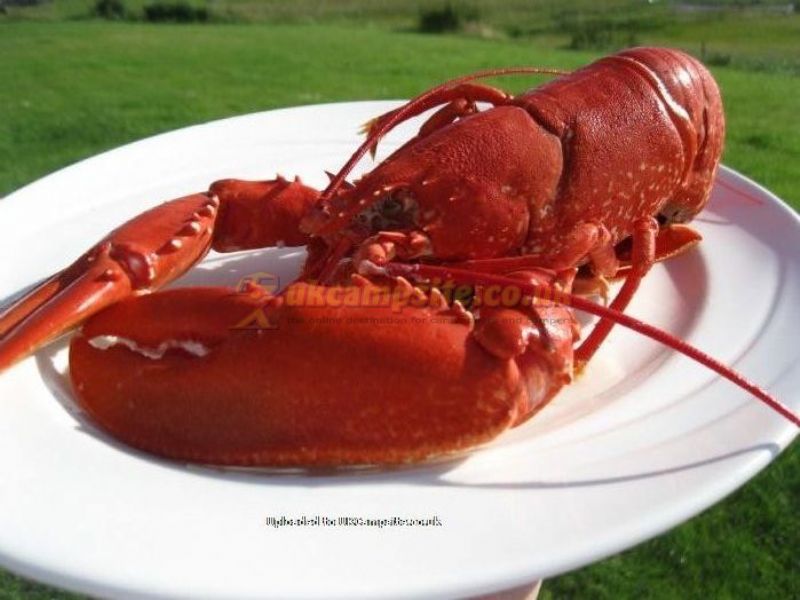Balranald Hebridean Holidays