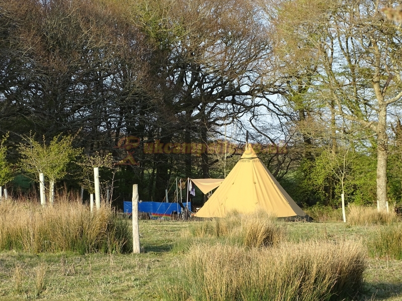 The Secret Campsite