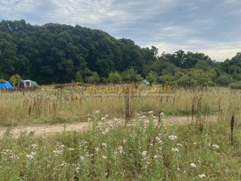 The Secret Campsite