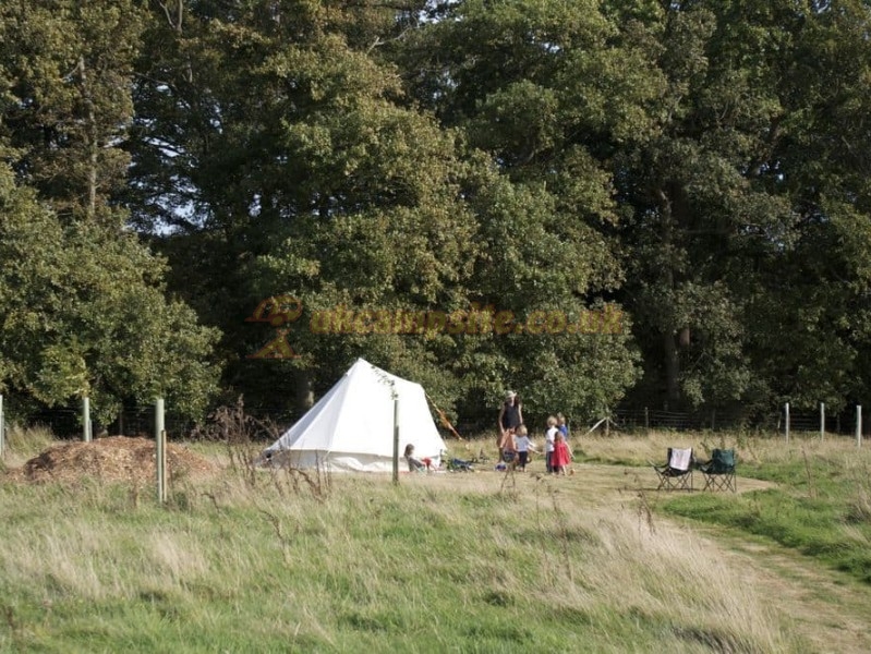 The Secret Campsite