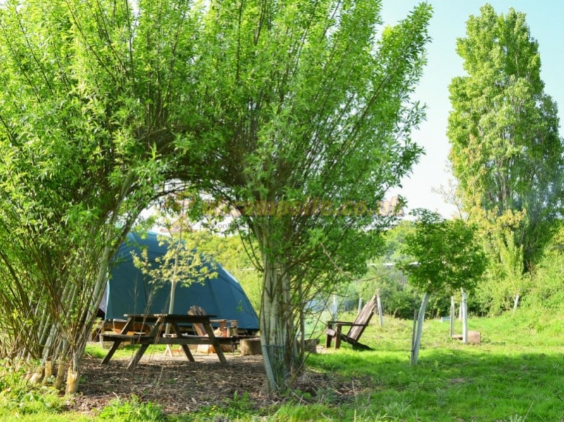 The Secret Campsite