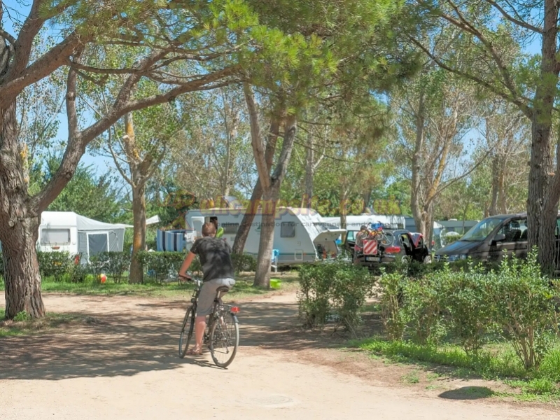 Camping Caravaning Playa Brava