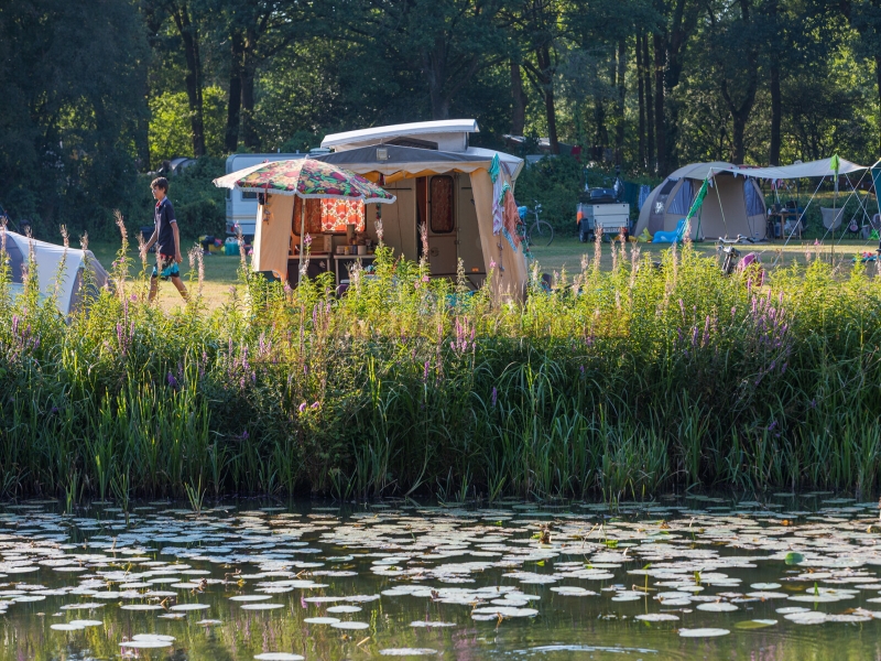 Camping Huttopia De Roos