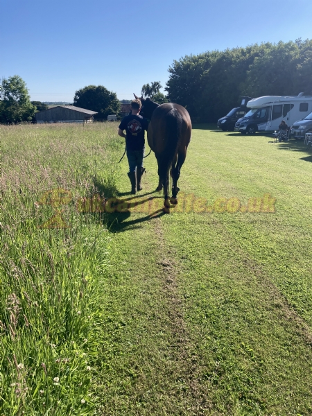 Greets Farm Campsite Certificated Site