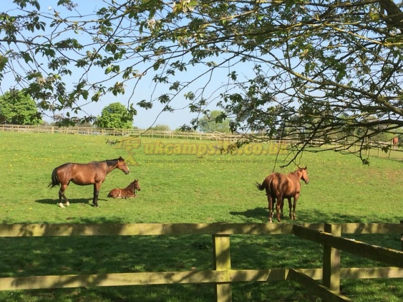 Greets Farm Campsite Certificated Site