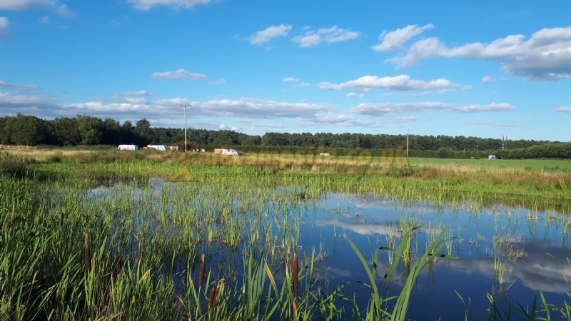 Old York Forest Camping Site