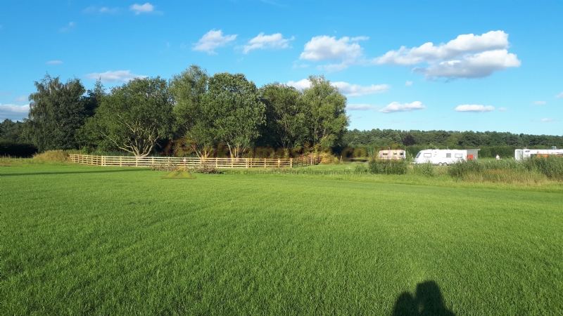 Old York Forest Camping Site