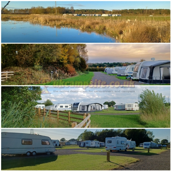 Old York Forest Camping Site