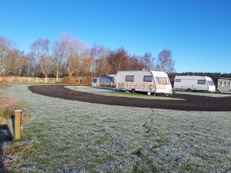 Old York Forest Camping Site
